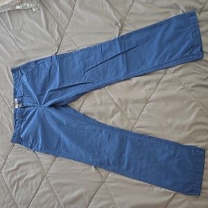 Express Chino Pants